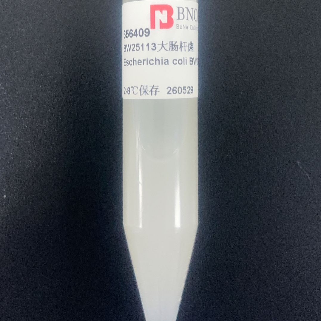 BW25113 Escherichia coli-BNCC