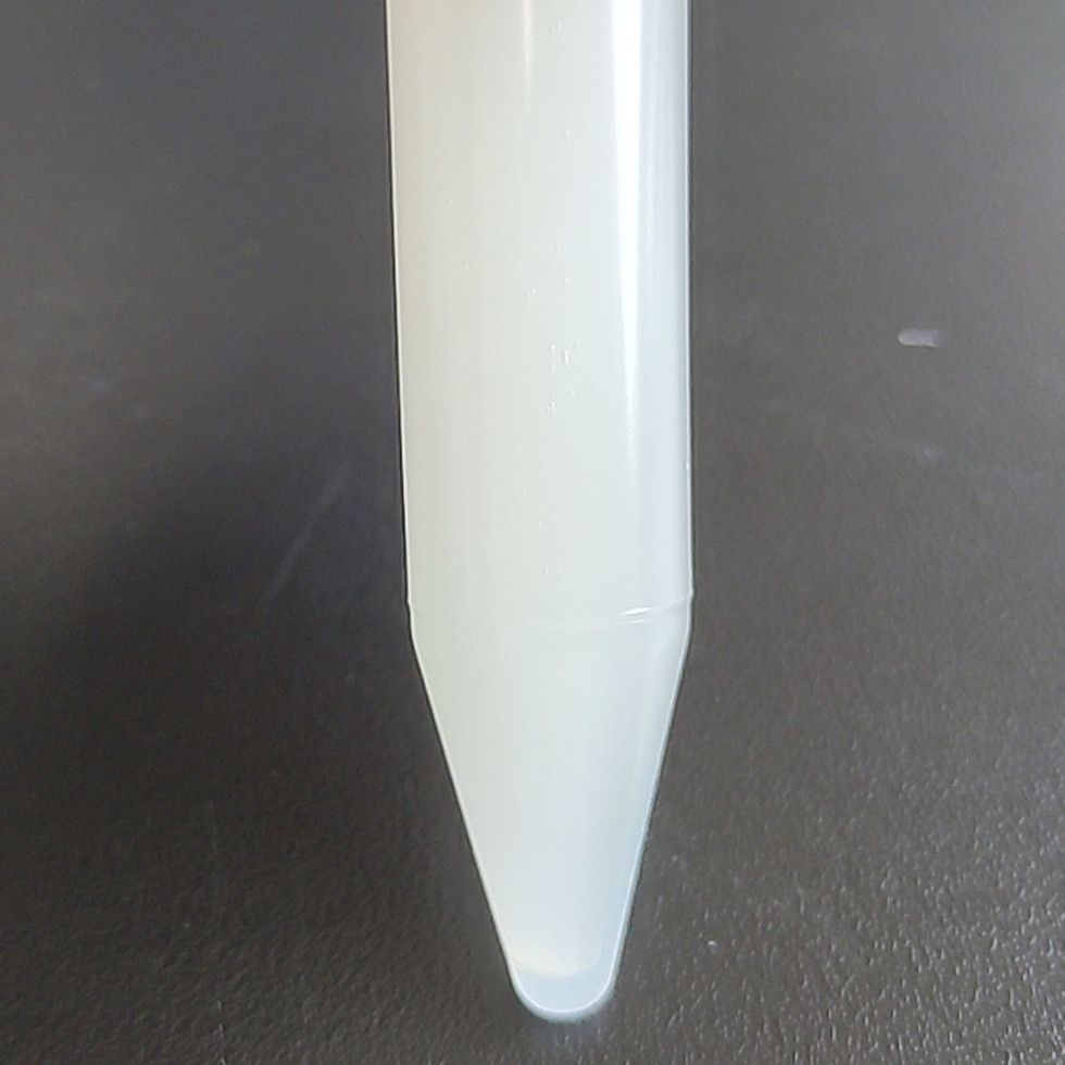 Escherichia coli-BNCC