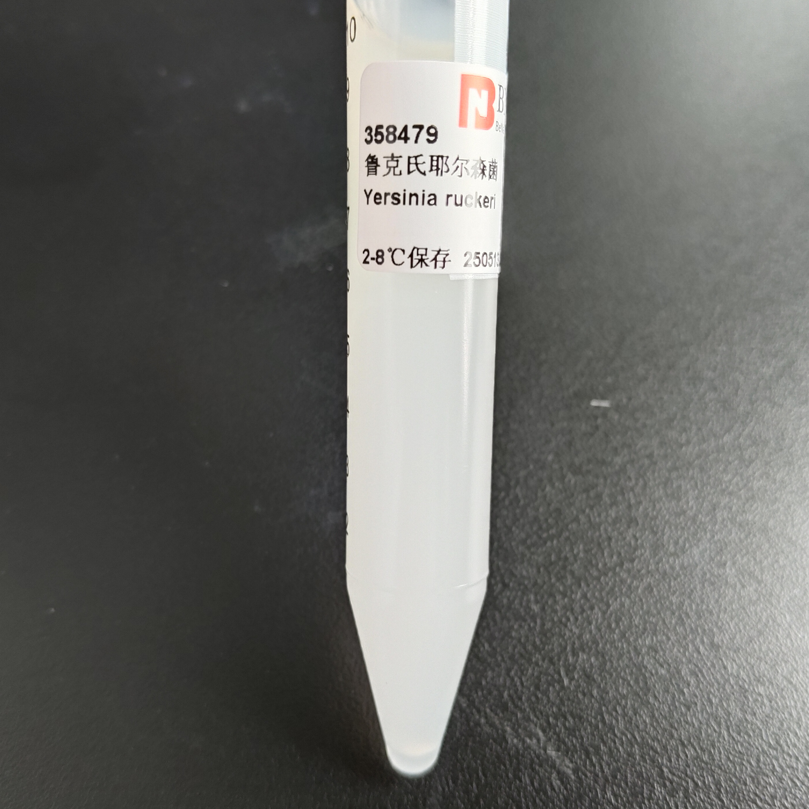 Yersinia pestis-BNCC