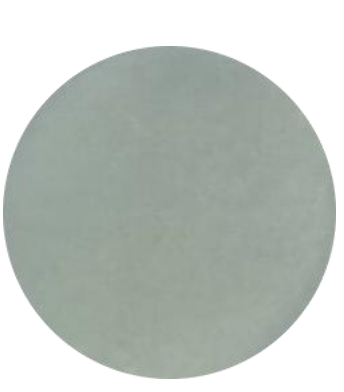 DH5α (containing pK19mobsacB plasmid) E. coli-BNCC