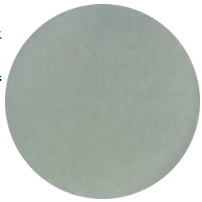 DH5α (containing pEGFP-LC3B-r plasmid) E. coli-BNCC