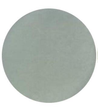 DH5α (containing PVAX1 plasmid) E. coli-BNCC