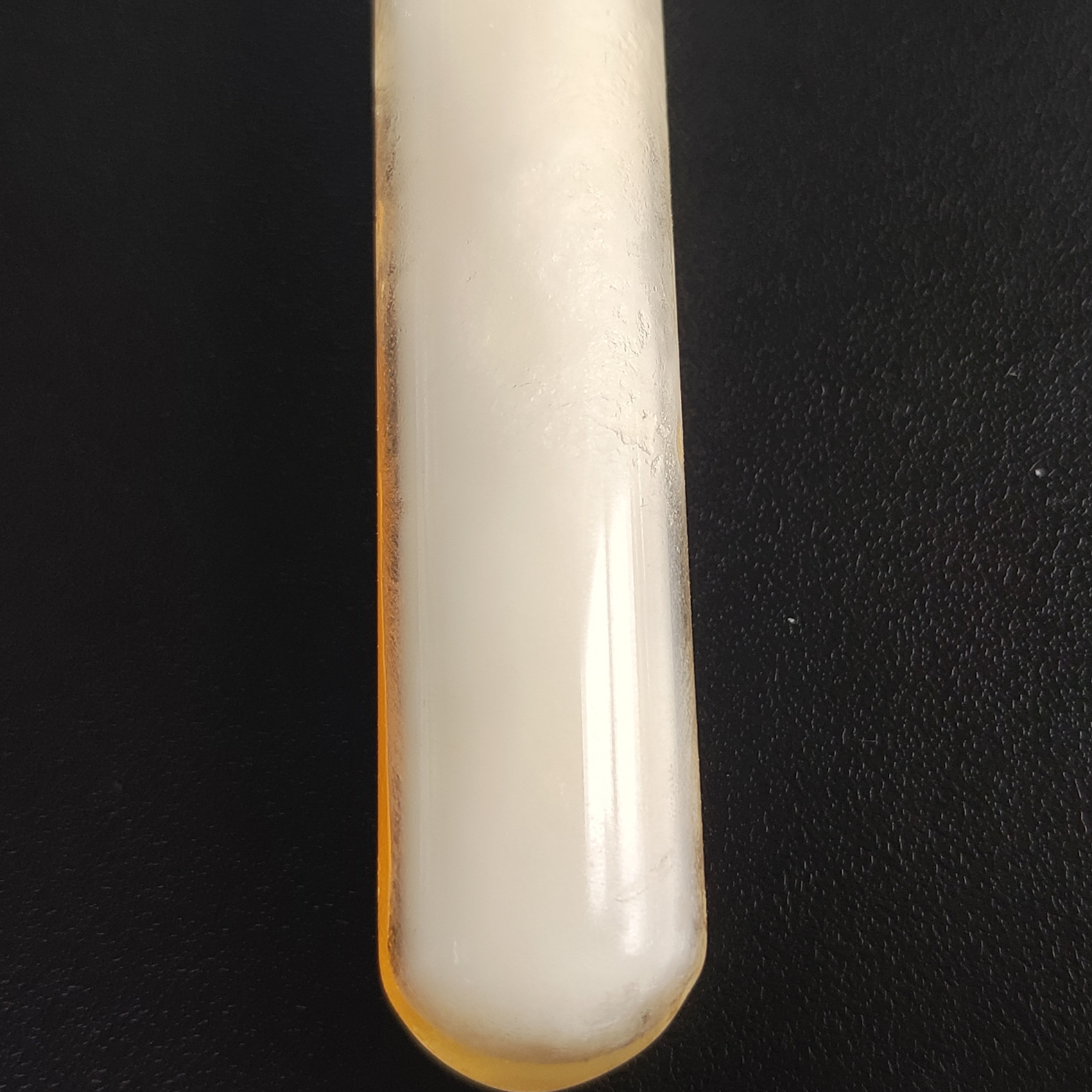 Oyster Mushroom-BNCC