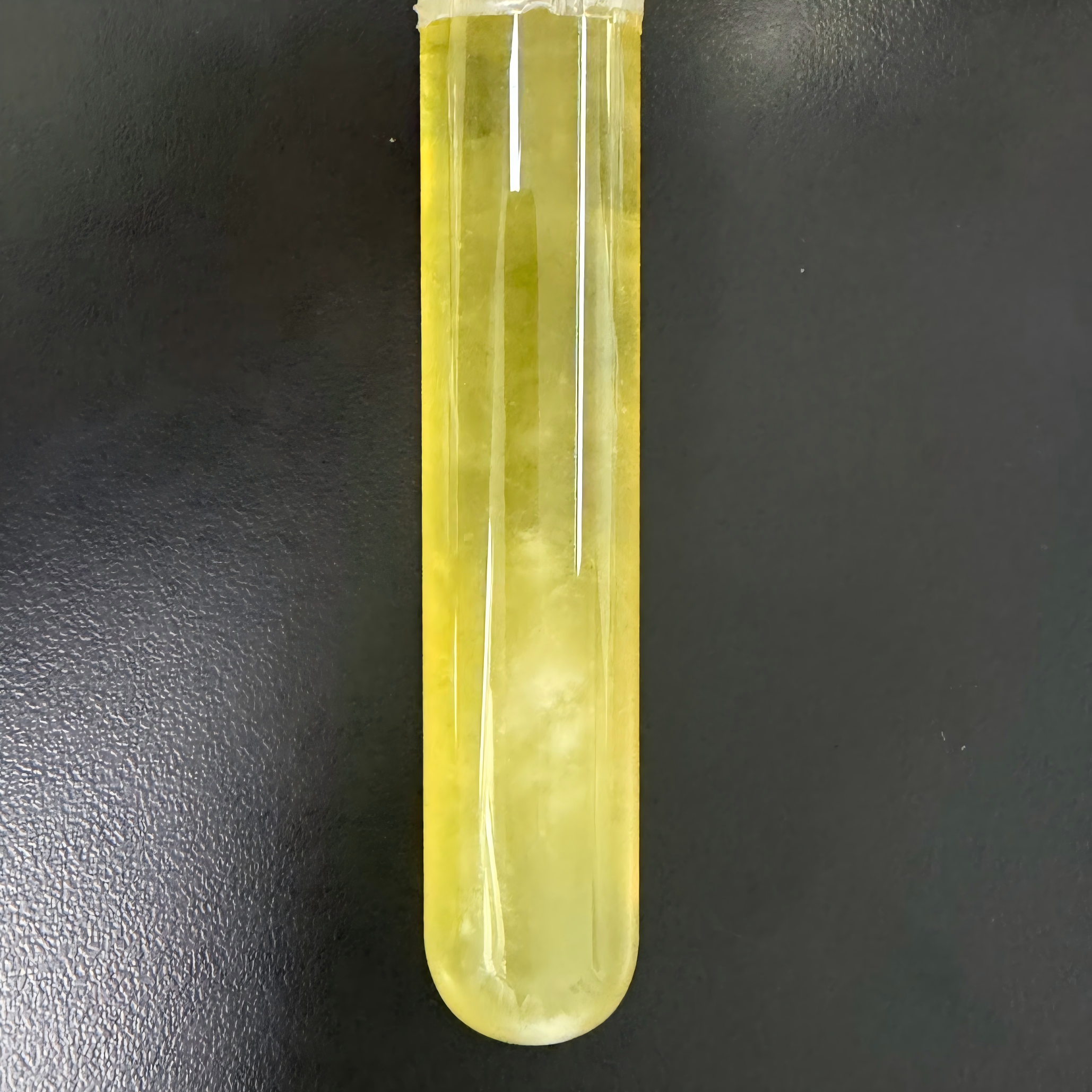 Bacillus subtilis-BNCC