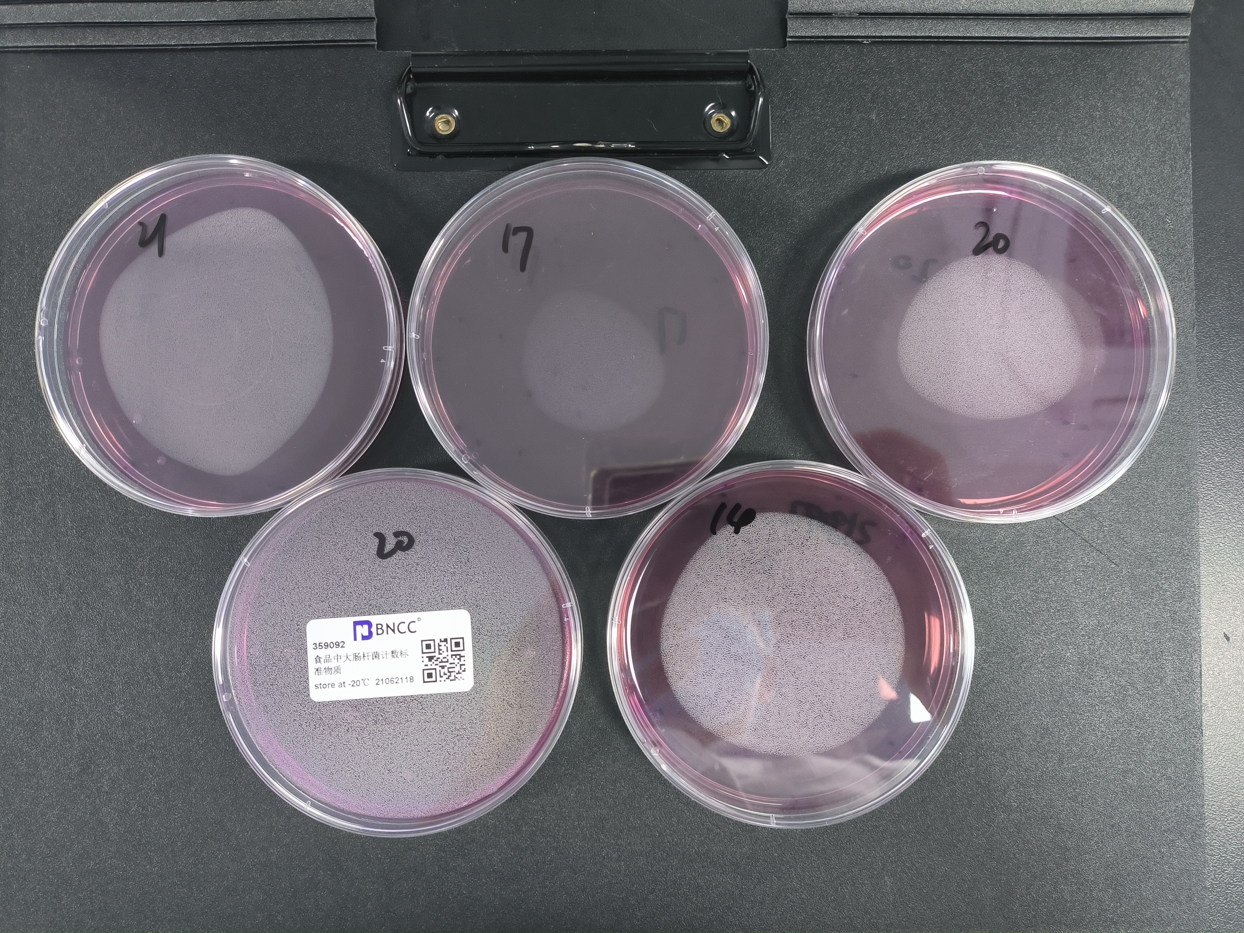 Reference material for Escherichia coli count in food-BNCC