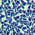 Standard substance for spore counting of Bacillus subtilis-BNCC