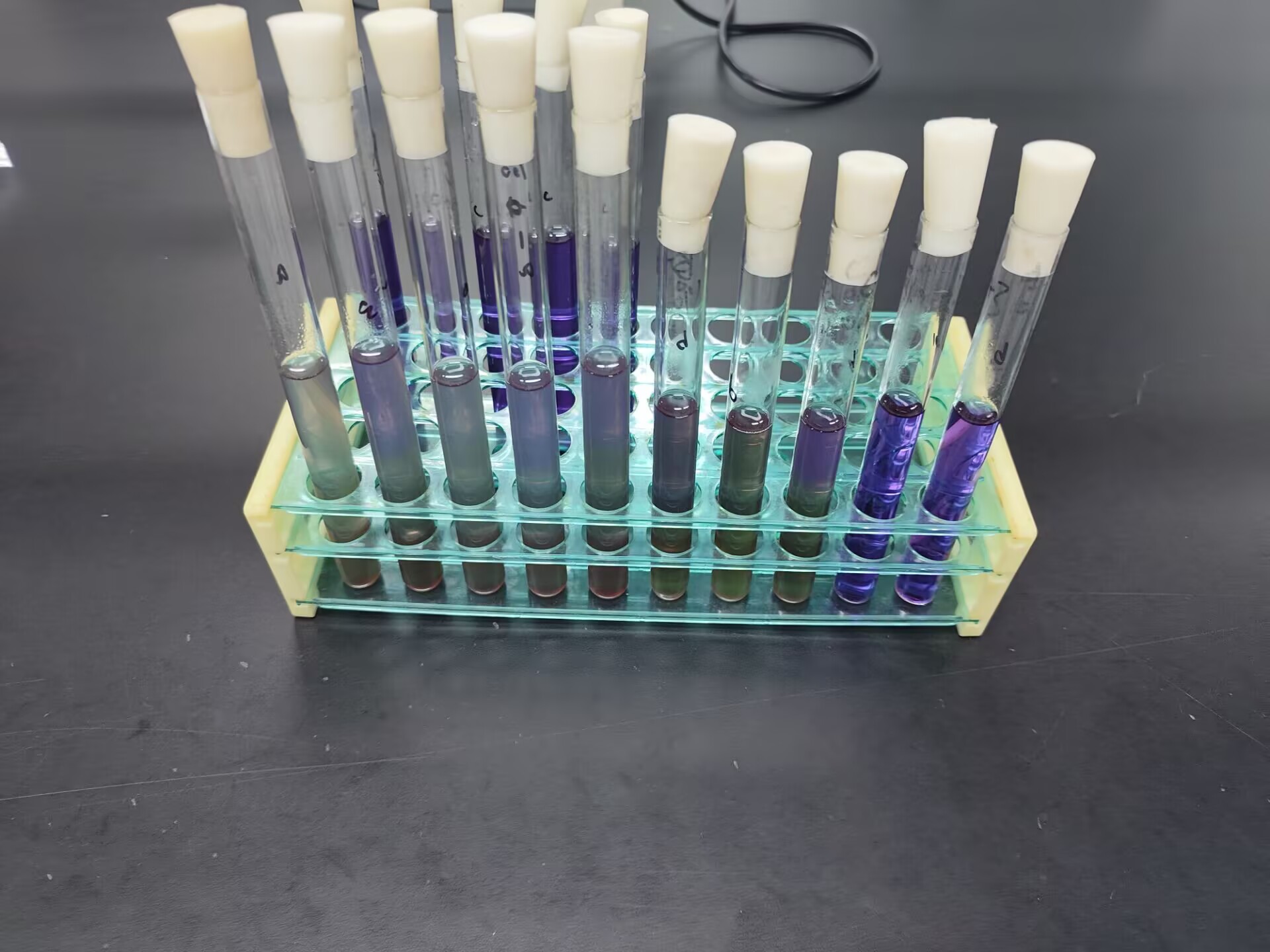 Fecal coliform negative control quality control sample (multi tube fermentation method)-BNCC