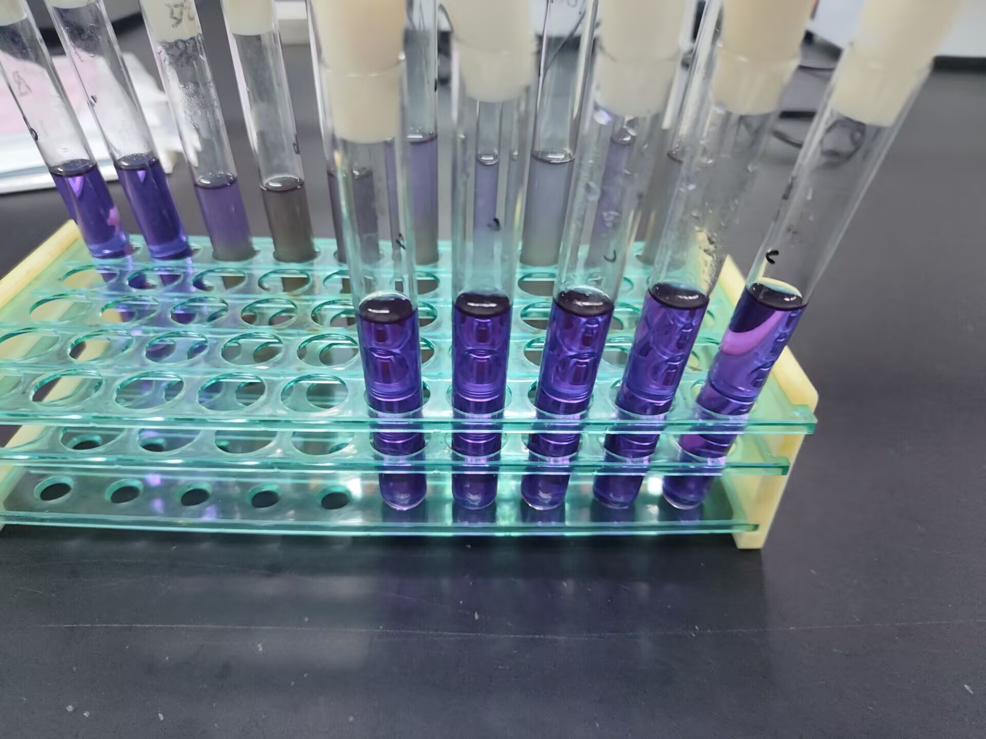 Fecal coliform negative control quality control sample (multi tube fermentation method)-BNCC