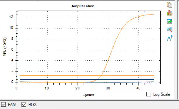Novel coronavirus RNA nucleic acid quality control sample (critical value)-BNCC