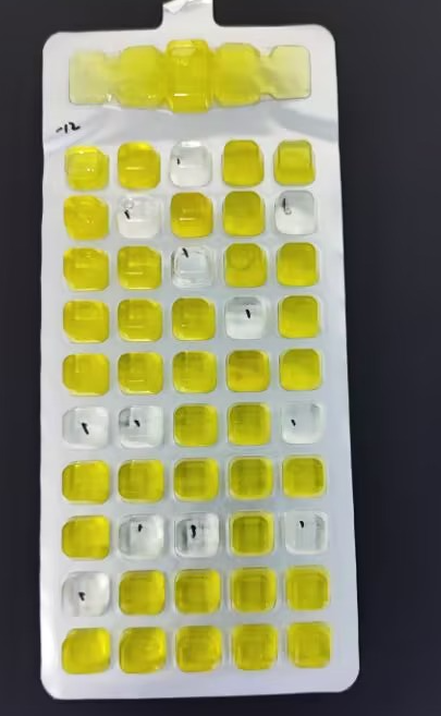 Enzyme substrate method quality control sample for drinking water-BNCC