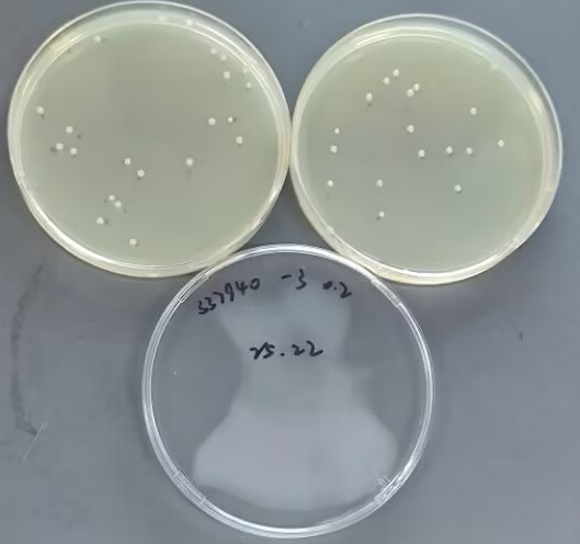 Negative quality control sample of water quality enzyme substrate method-BNCC