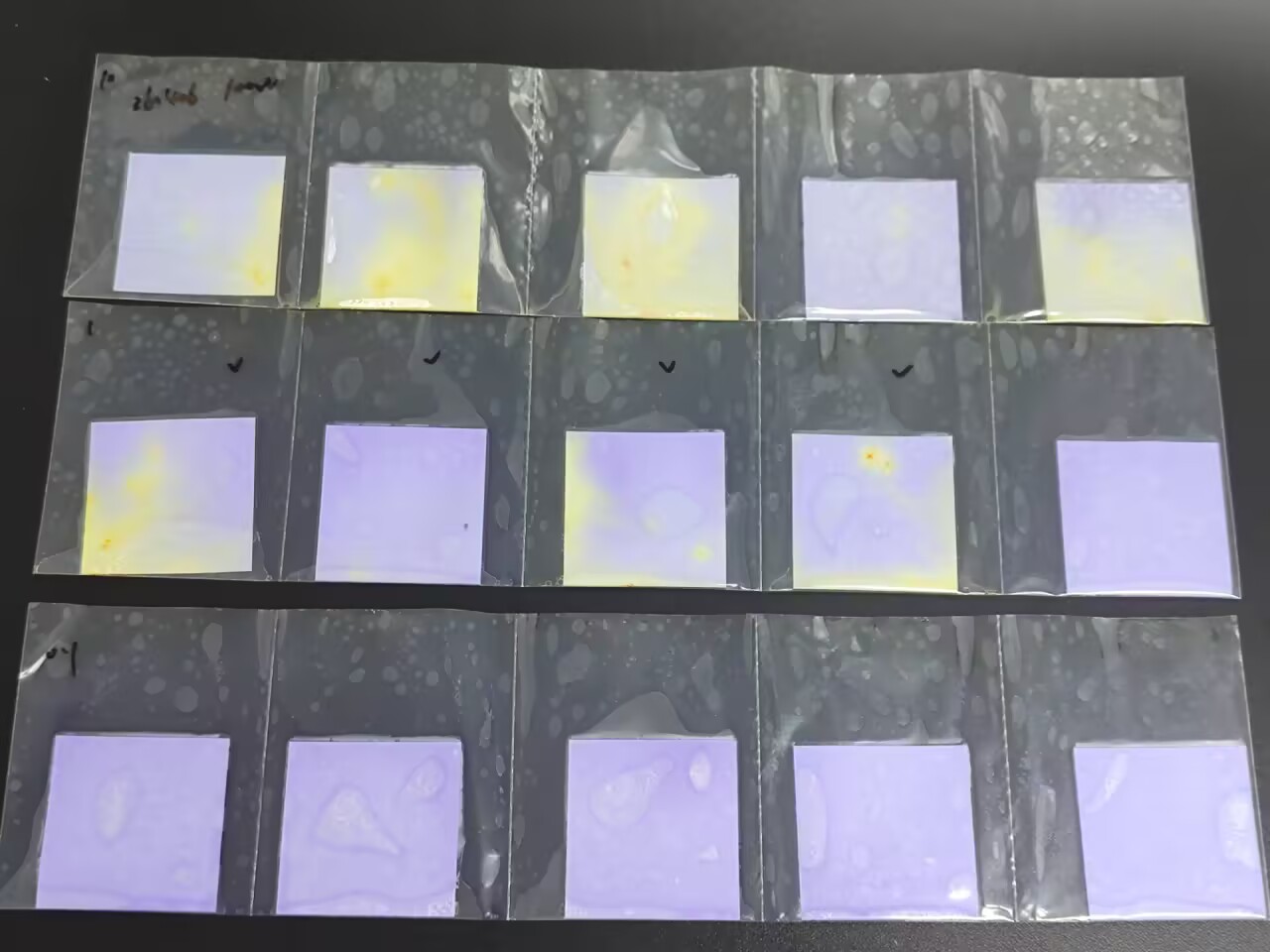 Standard quality control sample for fecal coliforms in water quality (paper rapid method)-BNCC