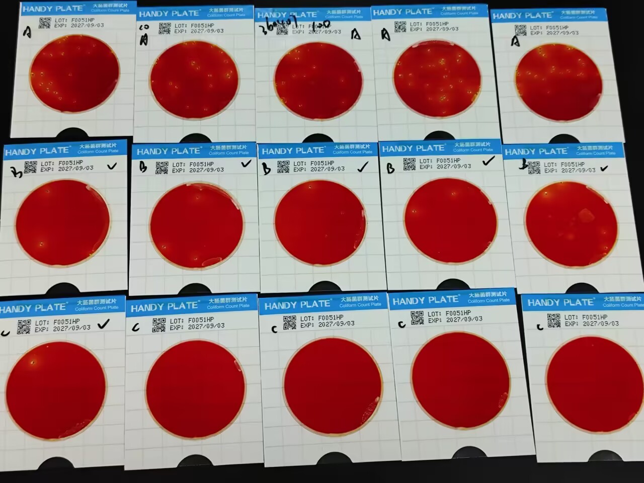 Water Quality Total Coliform Bacteria Standard Control Sample (Rapid Paper Disc Method)-BNCC