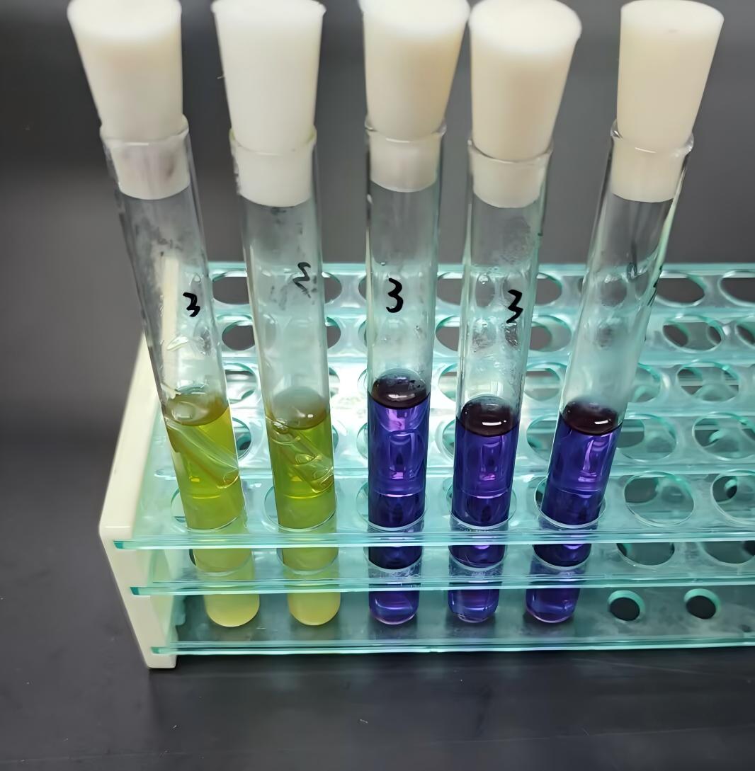 Standard quality control sample for Escherichia coli in drinking water (multi tube fermentation method)-BNCC