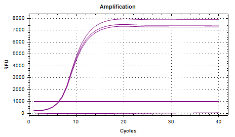 Vibrio cholerae ompW gene plasmid DNA standard substance-BNCC