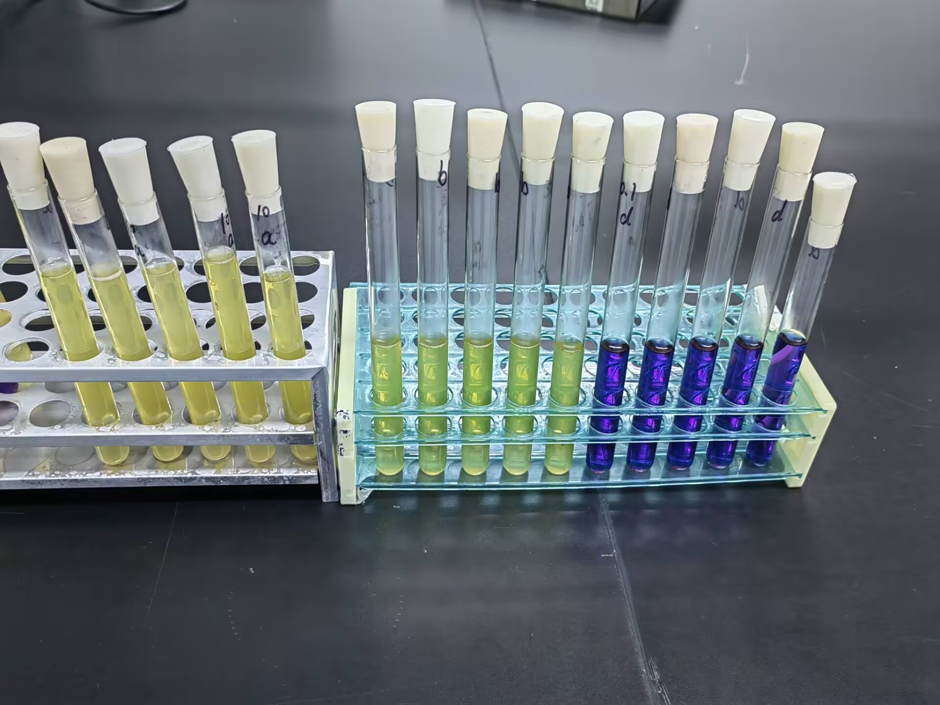 Water Quality Fecal Coliform Standard Control Sample (Multi-Tube Fermentation Method)-BNCC