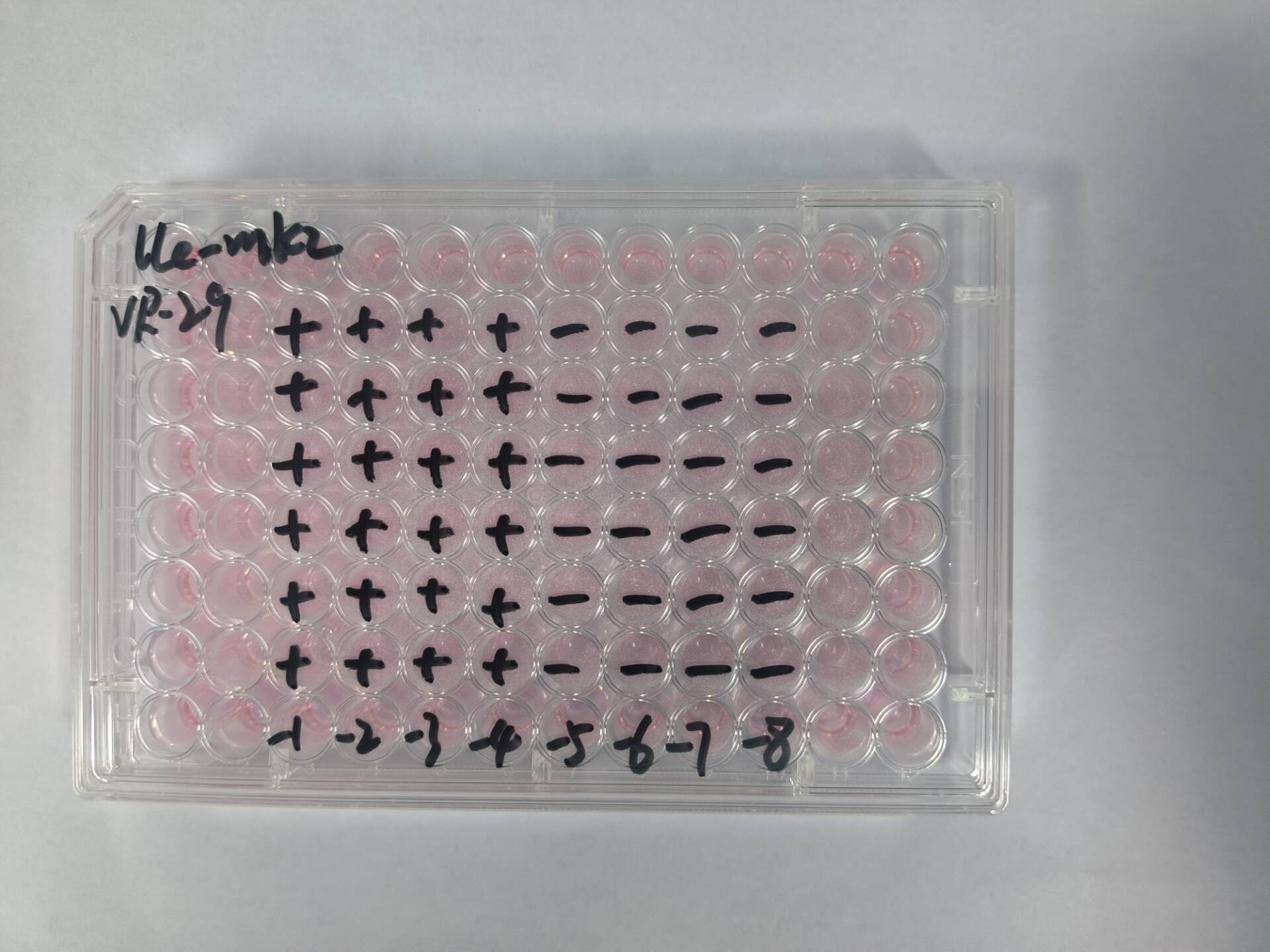 Human Coxsackievirus B2-BNCC