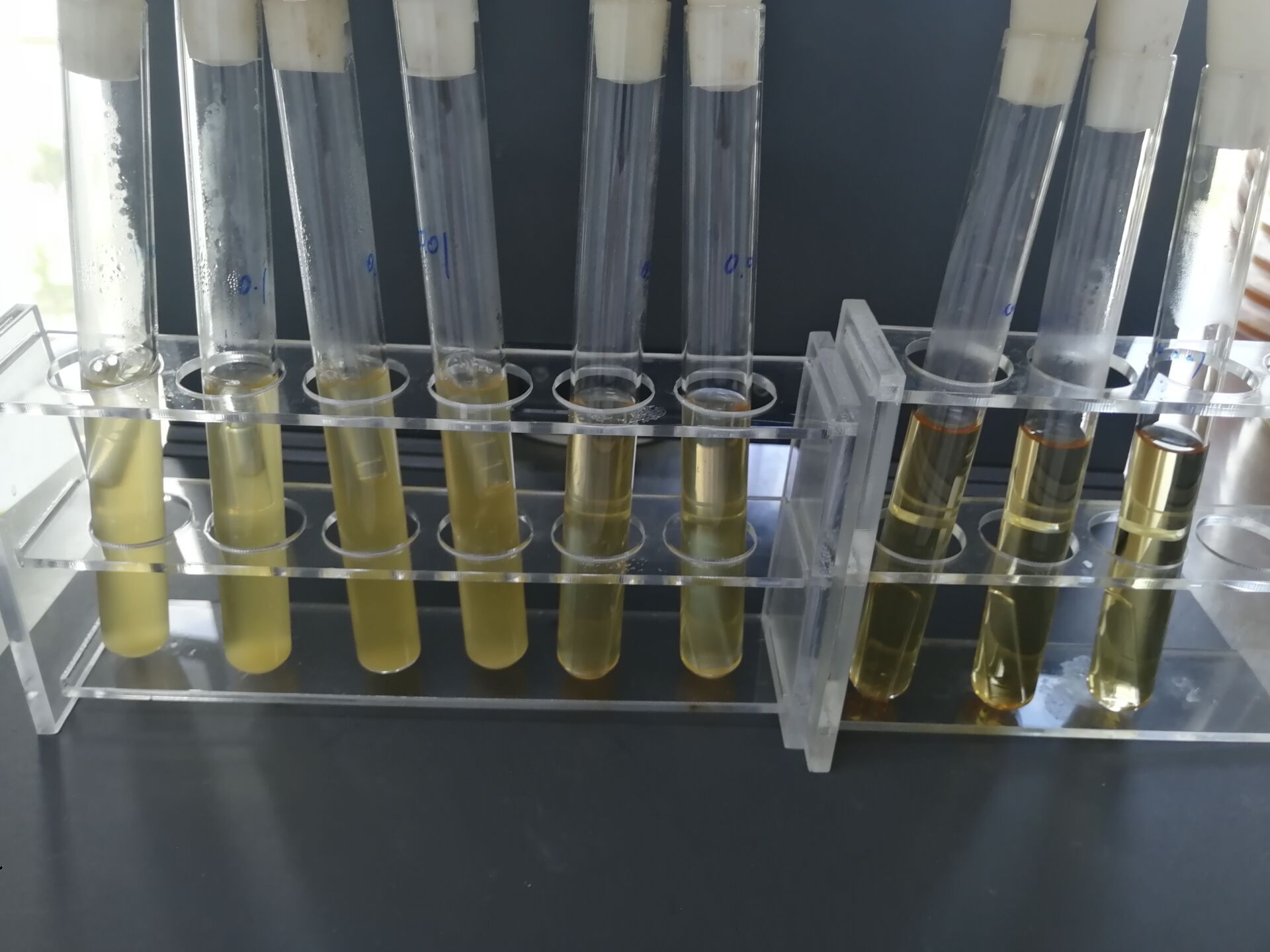 Fecal coliform standard quality control sample (MPN counting method)-BNCC