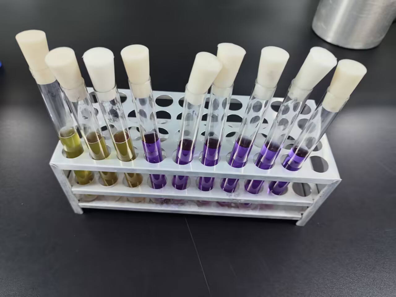 Escherichia coli standard quality control sample (MPN counting method)-BNCC