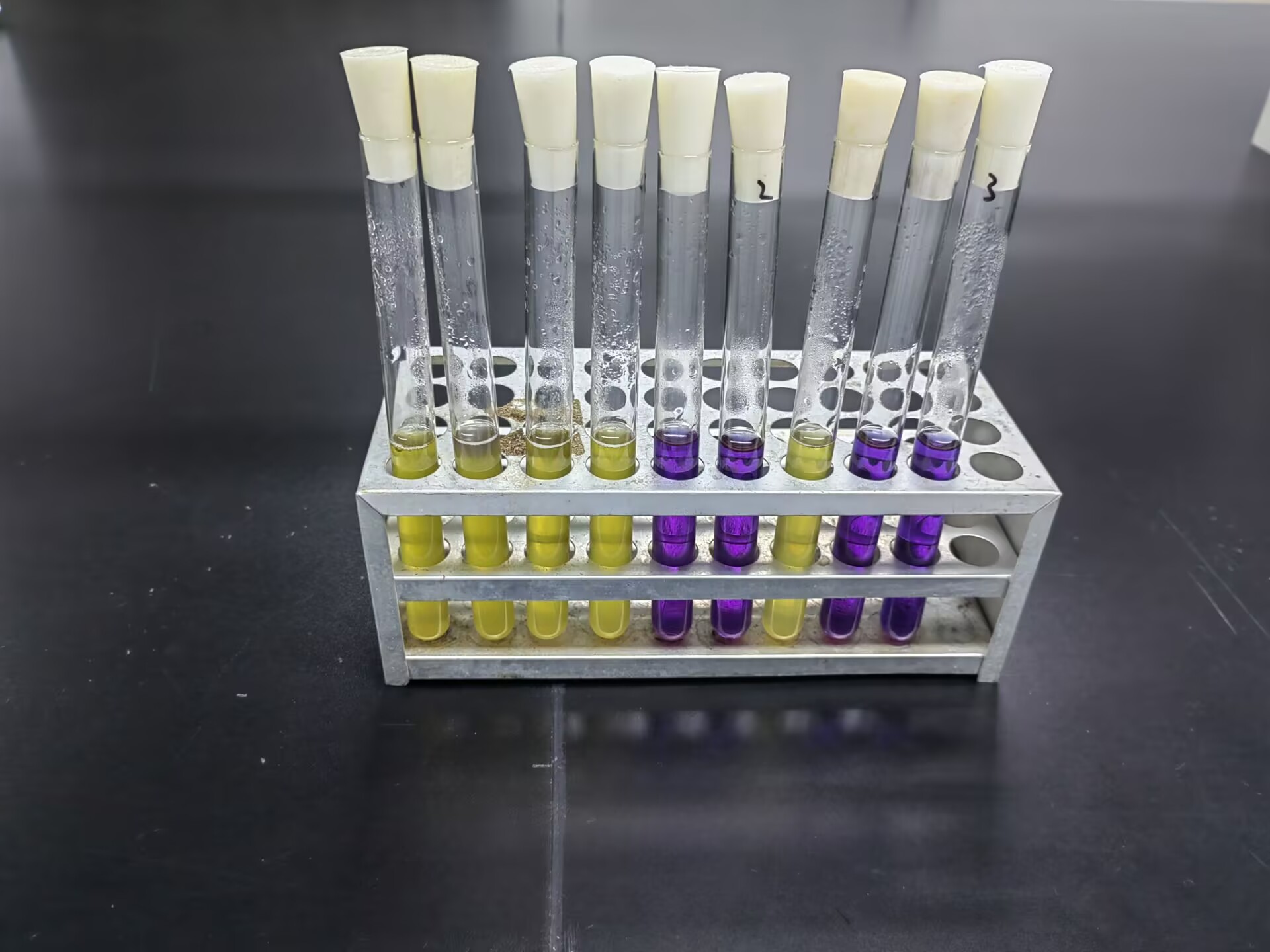Escherichia coli standard quality control sample (MPN counting method)-BNCC