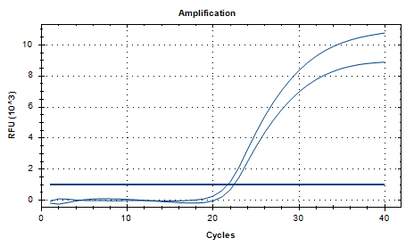 Candida albicans Nucleic Acid Reference Material (Thermally Inactivated) (Strong Positive)-BNCC