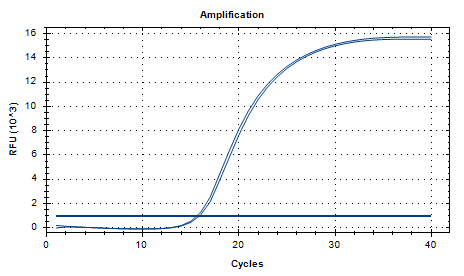 Moraxella catarrhalis Nucleic Acid Reference Material (Thermally Inactivated) (Strong Positive)-BNCC