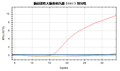 Enteral invasive Escherichia coli (EIEC) nucleic acid detection kit (fluorescent PCR method)-BNCC