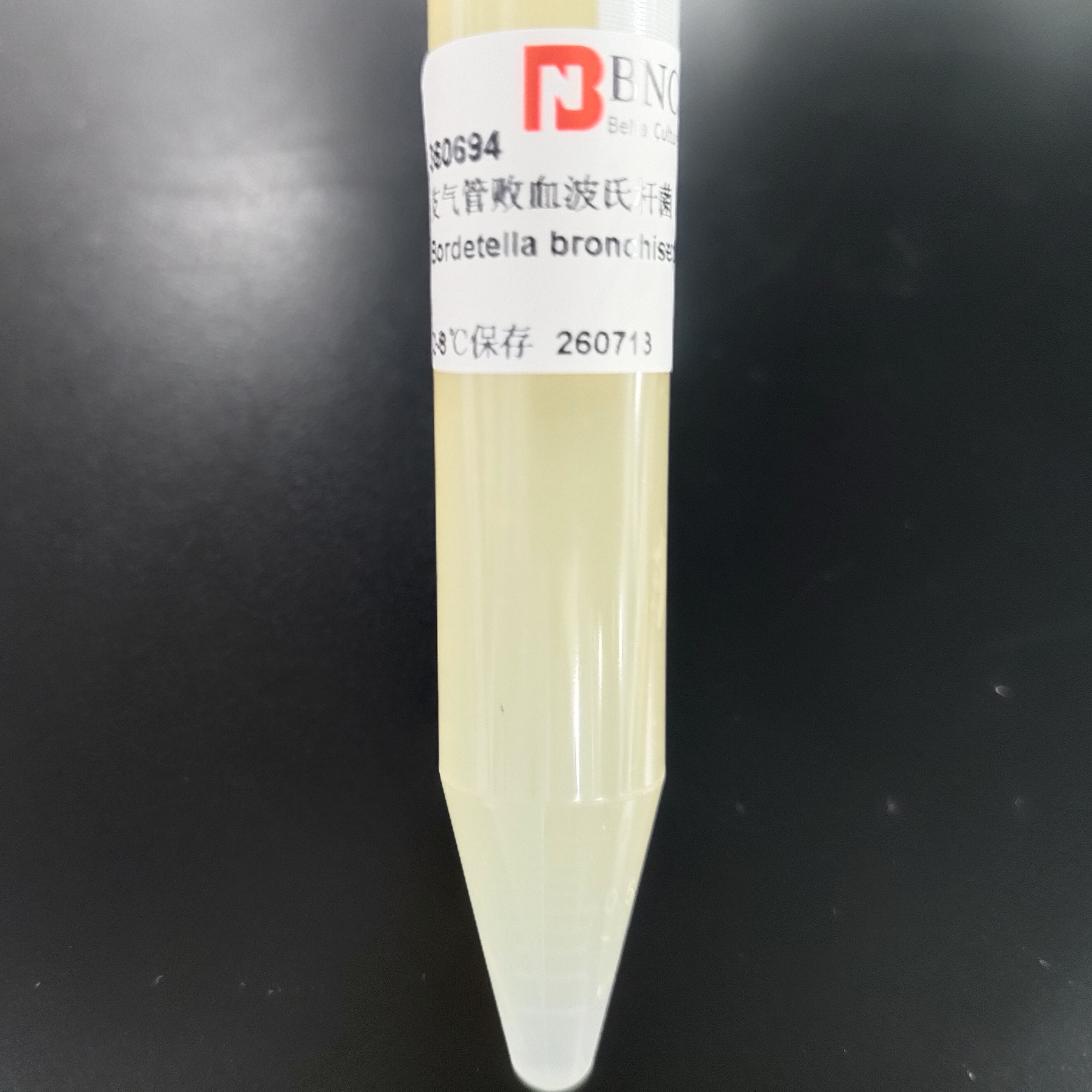Bordetella bronchiseptica-BNCC