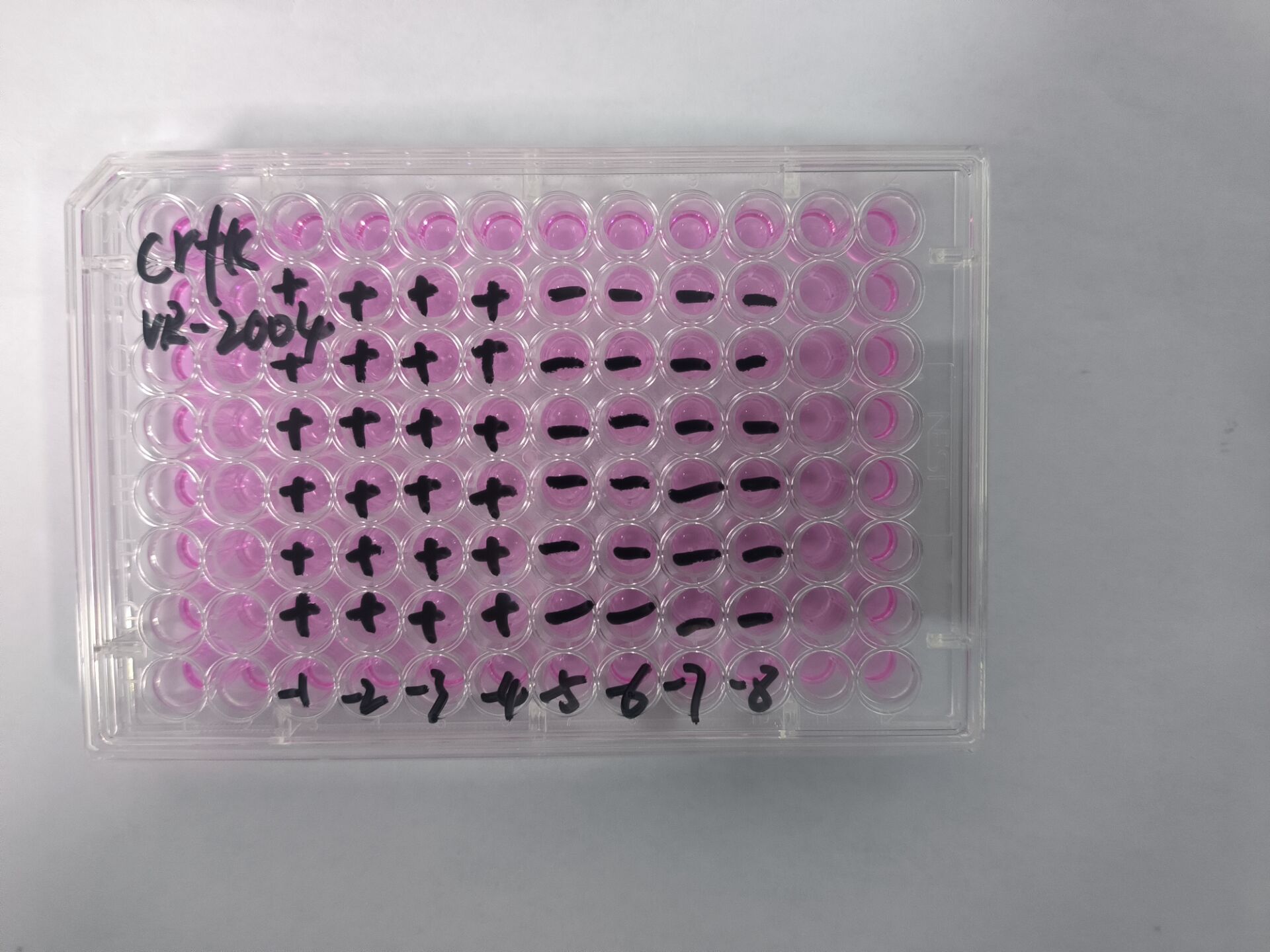 Feline Infectious Peritonitis Virus-BNCC
