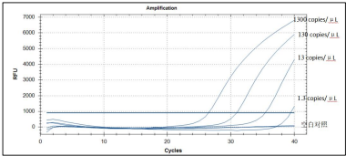 Chicken derived nucleic acid detection kit (fluorescent PCR method)-BNCC