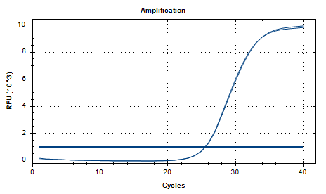 Aspergillus fumigatus nucleic acid reference substance (heat inactivated) (strongly positive)-BNCC