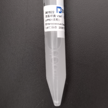 Enterococcus faecalis V347 (containing pIP501 plasmid)-BNCC