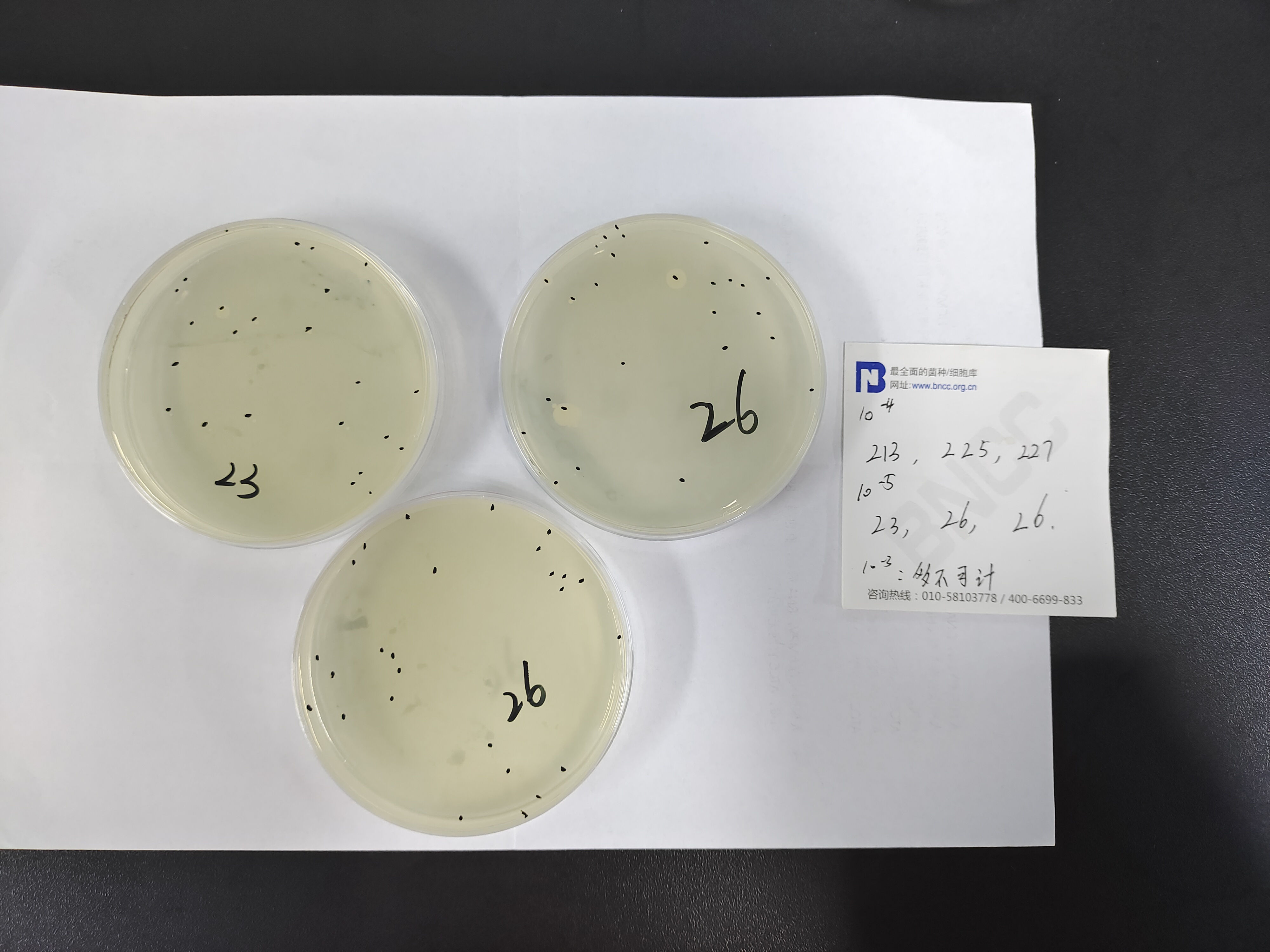Feed Total Colony Count Quality Control Sample-BNCC