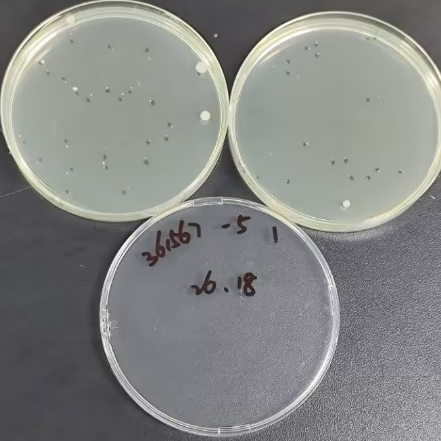 Total bacterial count control sample in feed-BNCC