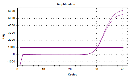 Listeria monocytogenes DNA standard-BNCC