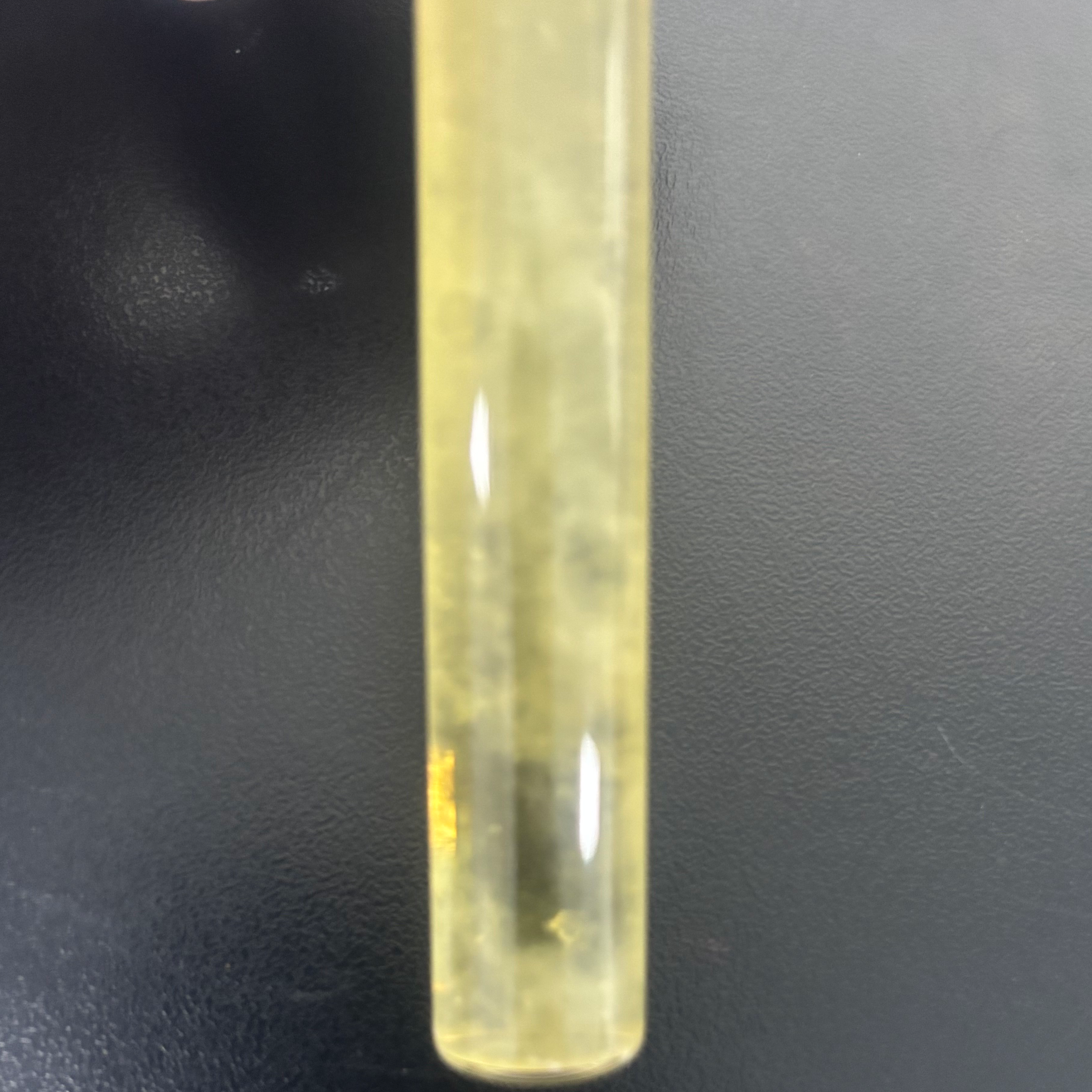 Fusobacterium nucleatum-BNCC