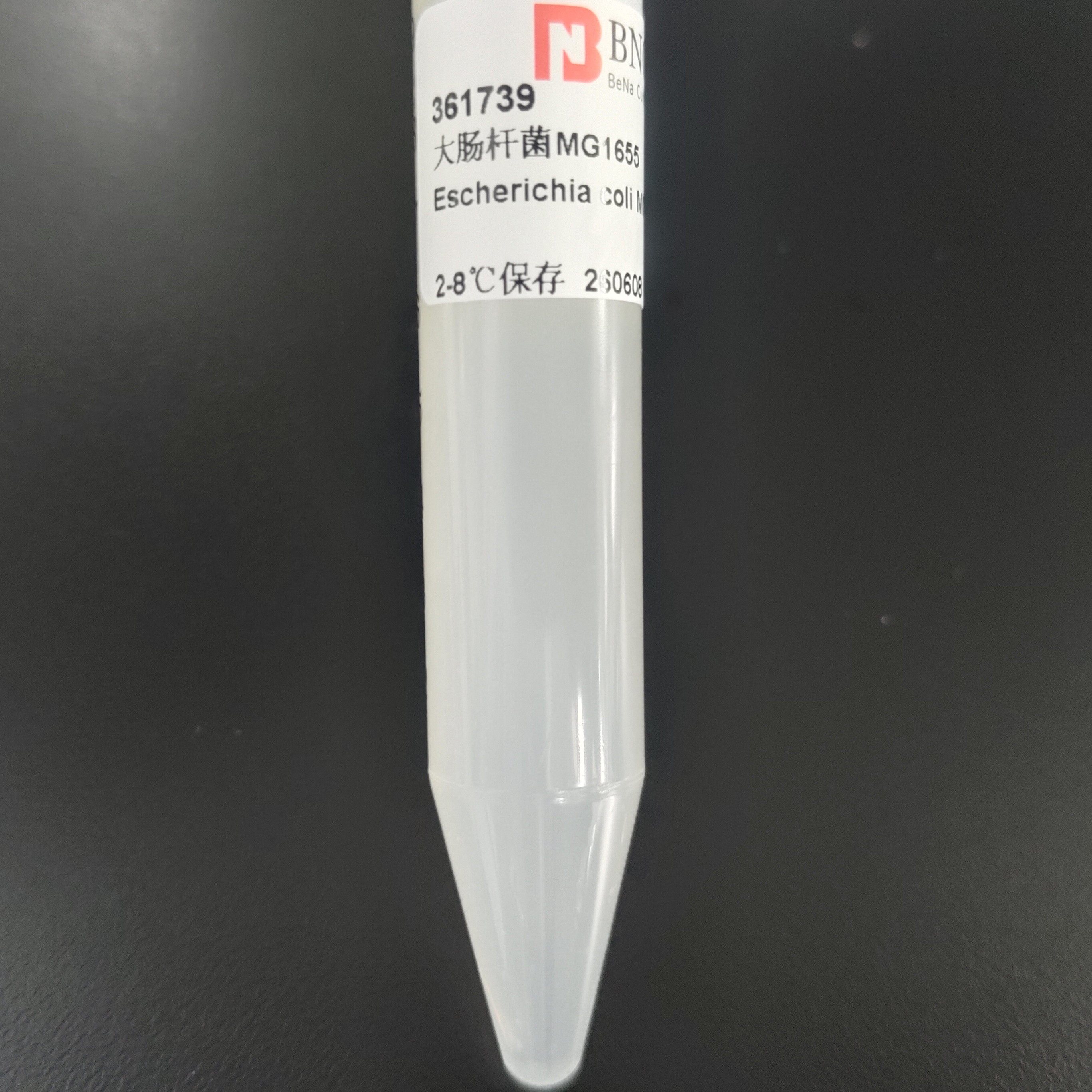 Escherichia coli MG1655-BNCC