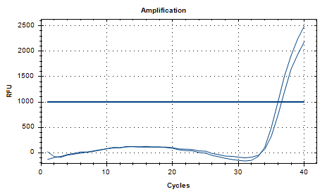 Human adenovirus type 41 DNA standard-BNCC