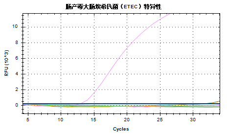 Shiga Toxic Escherichia coli (STEC) Nucleic Acid Detection Kit (Fluorescent PCR Method)-BNCC