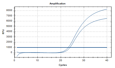 Reference substance for Staphylococcus aureus nucleic acid (Heat-inactivated) (strongly positive)-BNCC