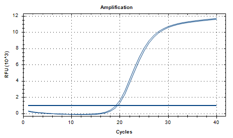 Candida albicans nucleic acid reference substance (Heat-inactivated) (strongly positive)-BNCC