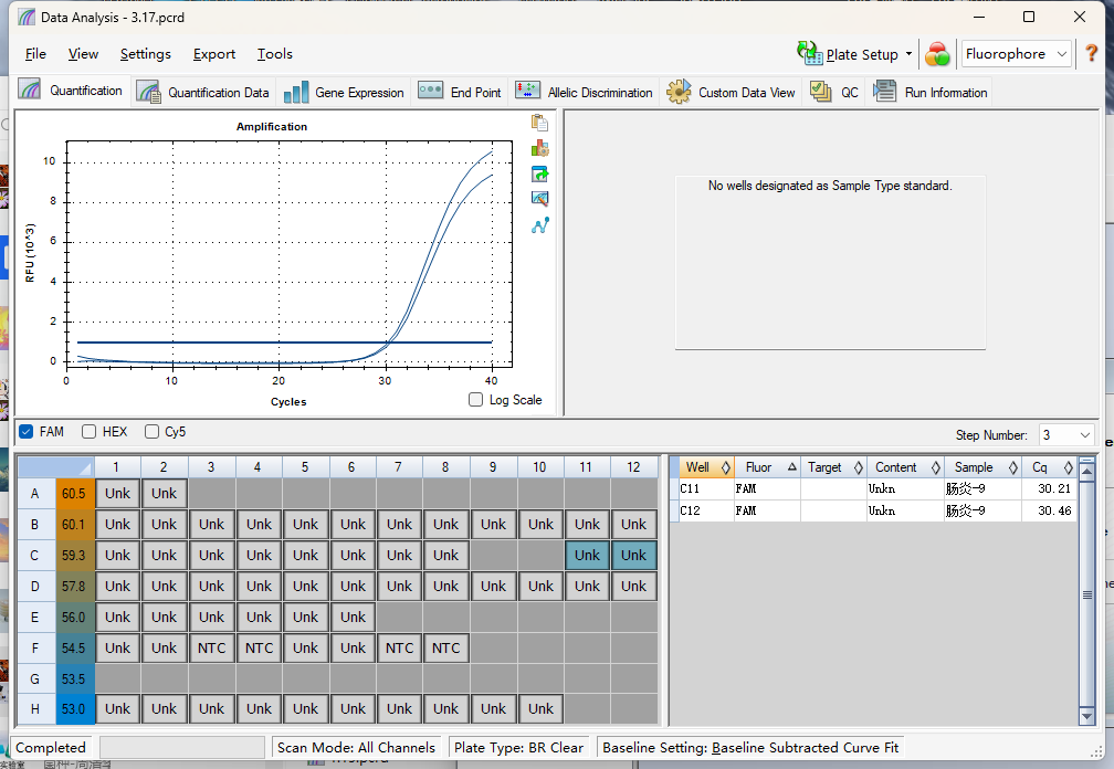 Salmonella Enteritidis Nucleic Acid Testing Standard-BNCC