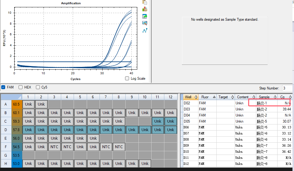 Salmonella enterica Nucleic Acid Detection Standard-BNCC