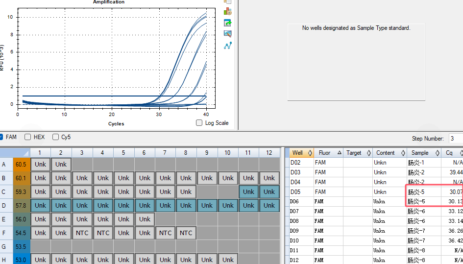 Salmonella Enteritidis Nucleic Acid Testing Standard-BNCC