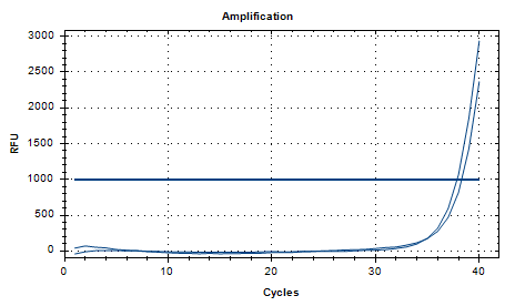 Streptococcus group A nucleic acid detection standard-BNCC