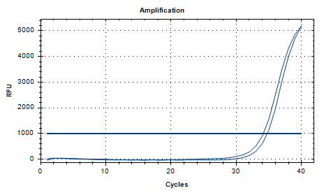 Streptococcus group A nucleic acid detection standard-BNCC