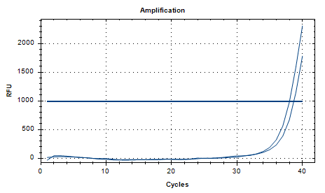 Staphylococcus aureus subsp nucleic acid detection standard-BNCC