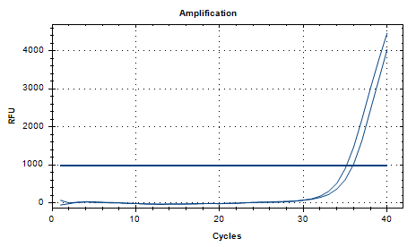 Staphylococcus aureus subsp nucleic acid detection standard-BNCC