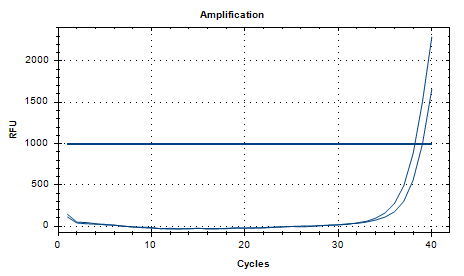 Staphylococcus aureus subsp nucleic acid detection standard-BNCC