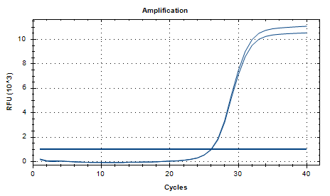 Clostridium difficile nucleic acid detection standard-BNCC